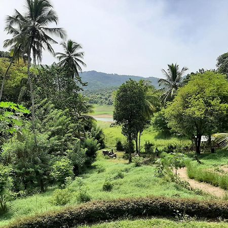 ديغانا Victoria Views Resort Kandy المظهر الخارجي الصورة