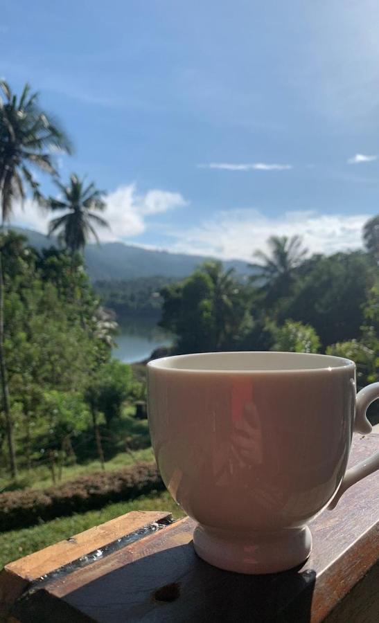 ديغانا Victoria Views Resort Kandy المظهر الخارجي الصورة