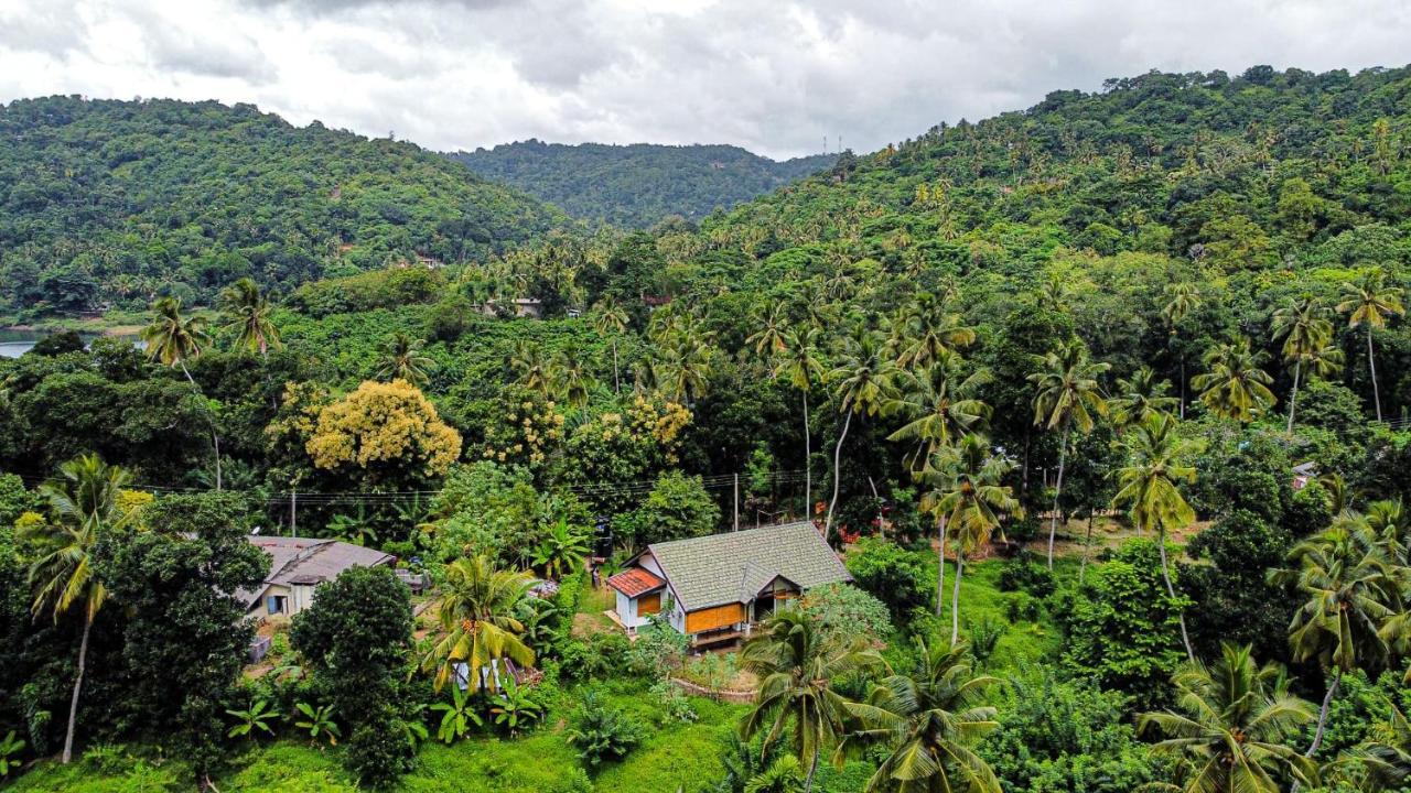 ديغانا Victoria Views Resort Kandy المظهر الخارجي الصورة