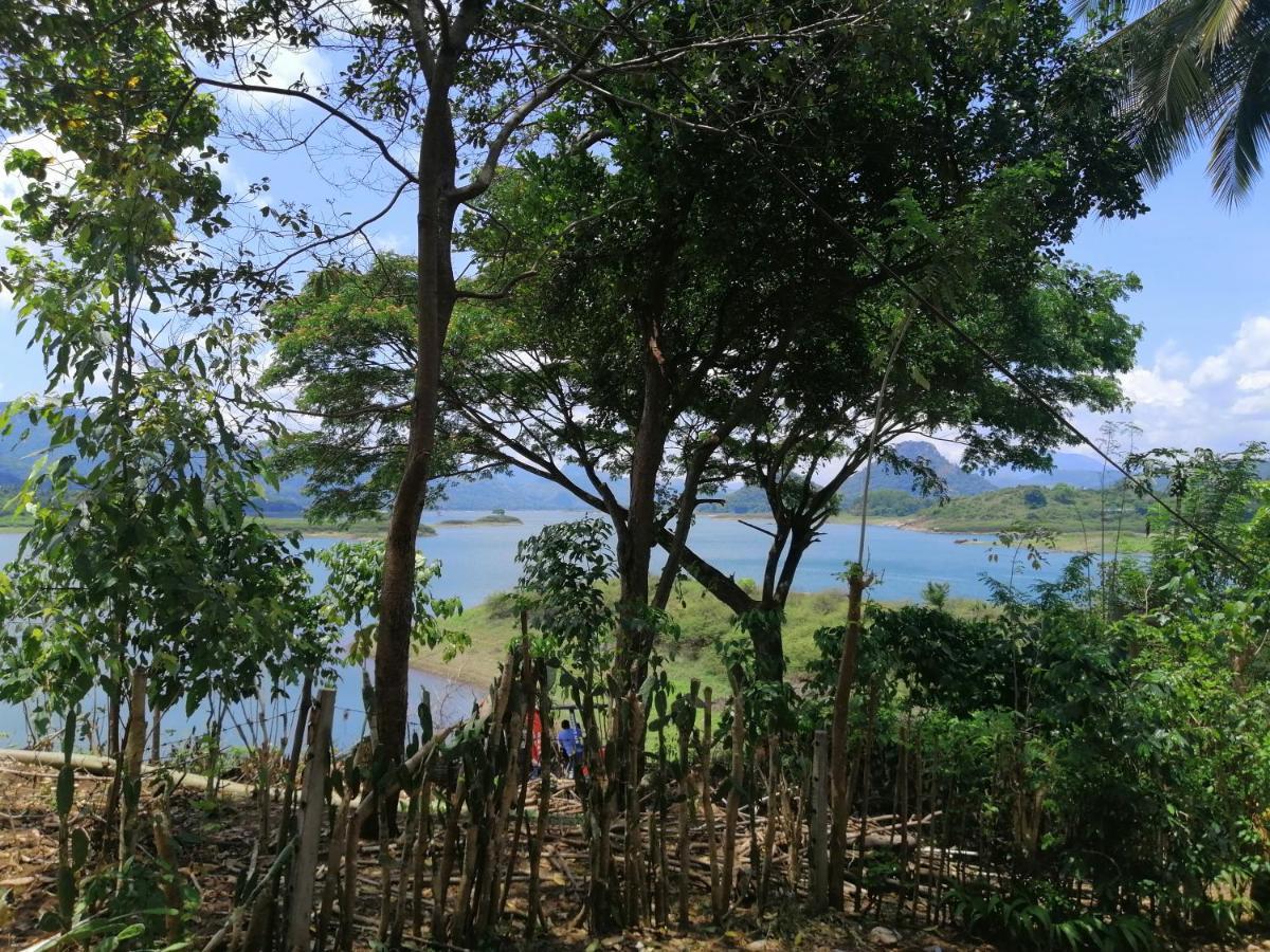 ديغانا Victoria Views Resort Kandy المظهر الخارجي الصورة