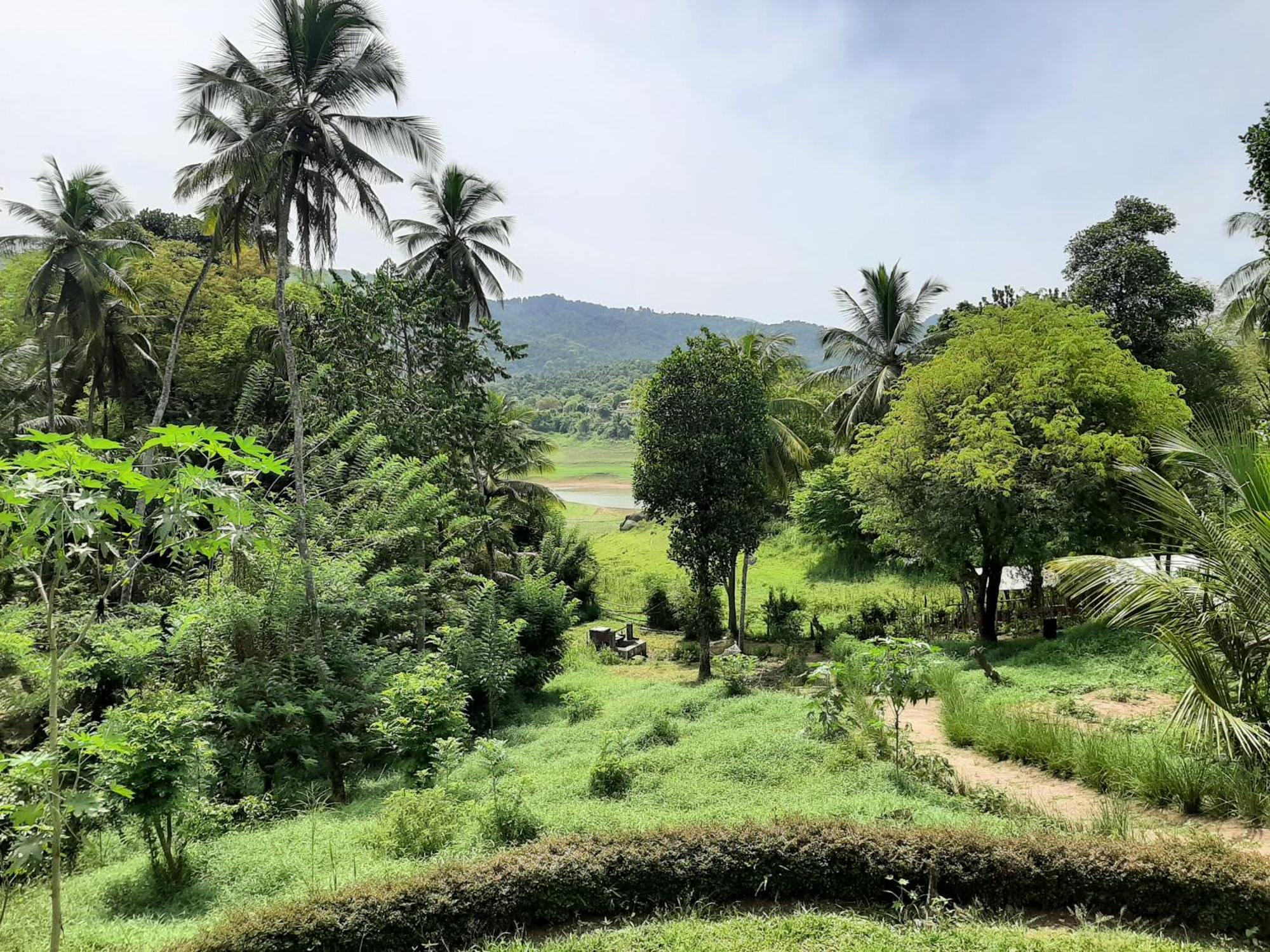 ديغانا Victoria Views Resort Kandy المظهر الخارجي الصورة